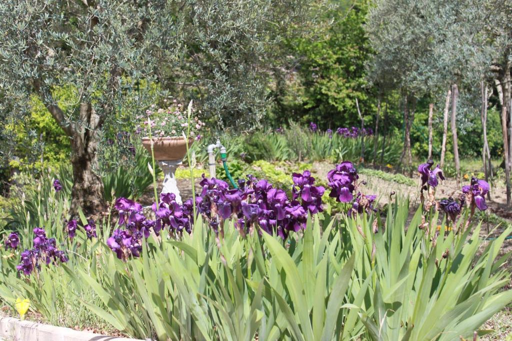 Amour Provence Séguret Εξωτερικό φωτογραφία